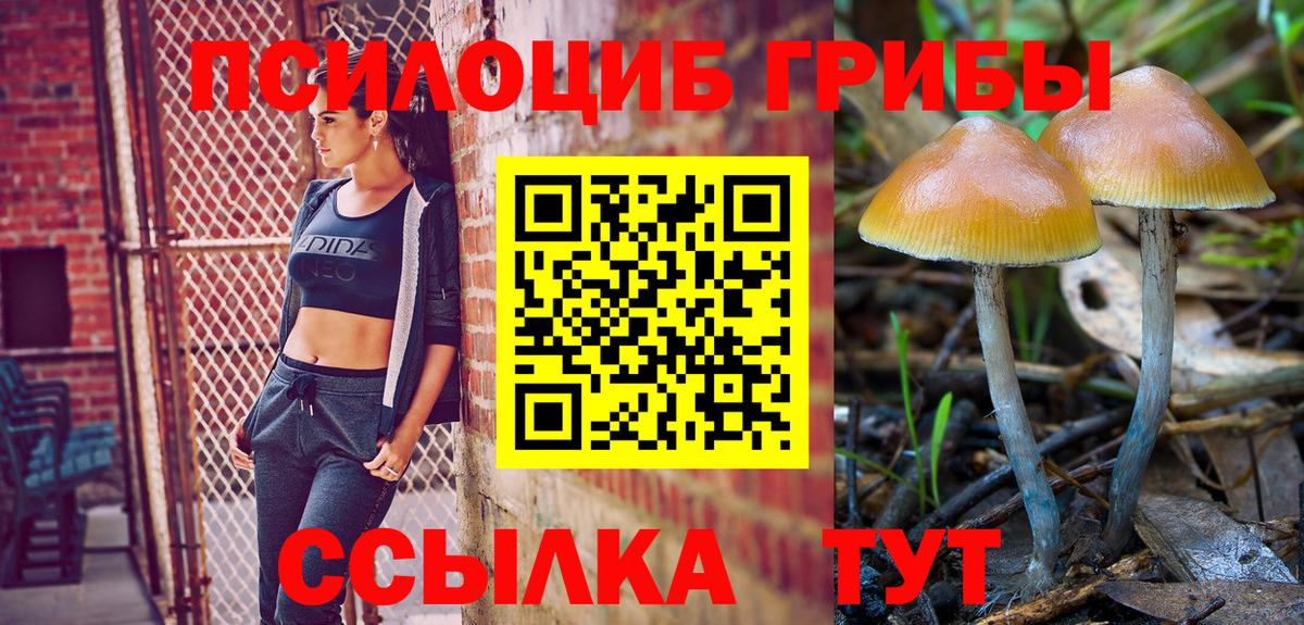 Псилоцибиновые грибы Psilocybine cubensis  даркнет сайт  Дзержинский  Вход с VPN  Галлюциногенные грибы MAGIC MUSHROOMS 